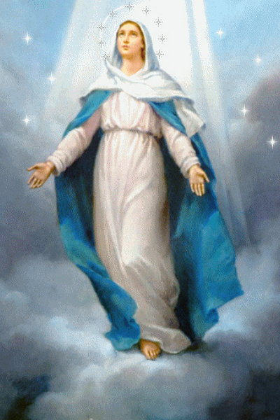 Immaculate Conception Prayer – Virgin Mary