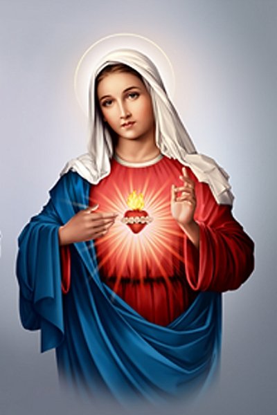 immaculate heart of mary novena