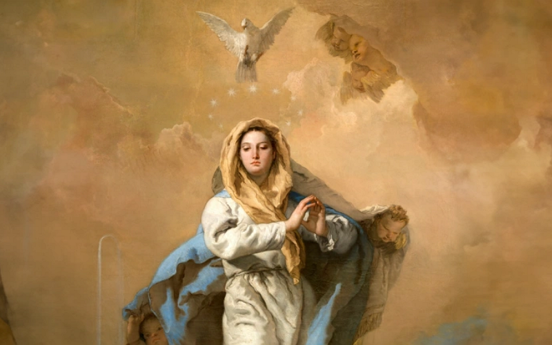 Explanation of Mary’s role in salvation according to the Vatican document Mater Populi Fidelis