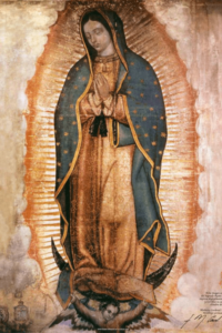 our lady of guadalupe novenas to saints