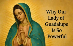 why Our Lady of Guadalupe is so powerful